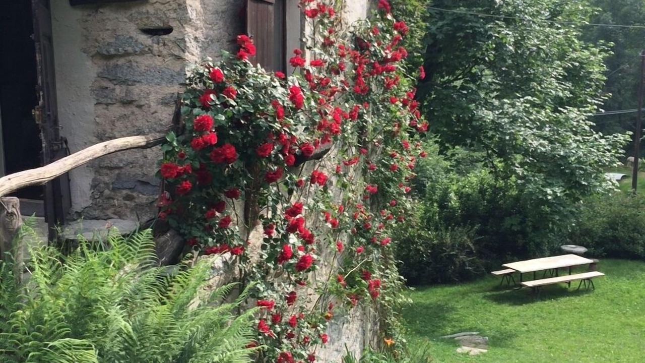 Photo of Outdoor in Breia