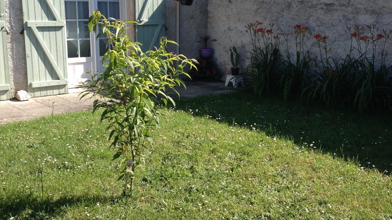 Photo of Outdoor in Veuves