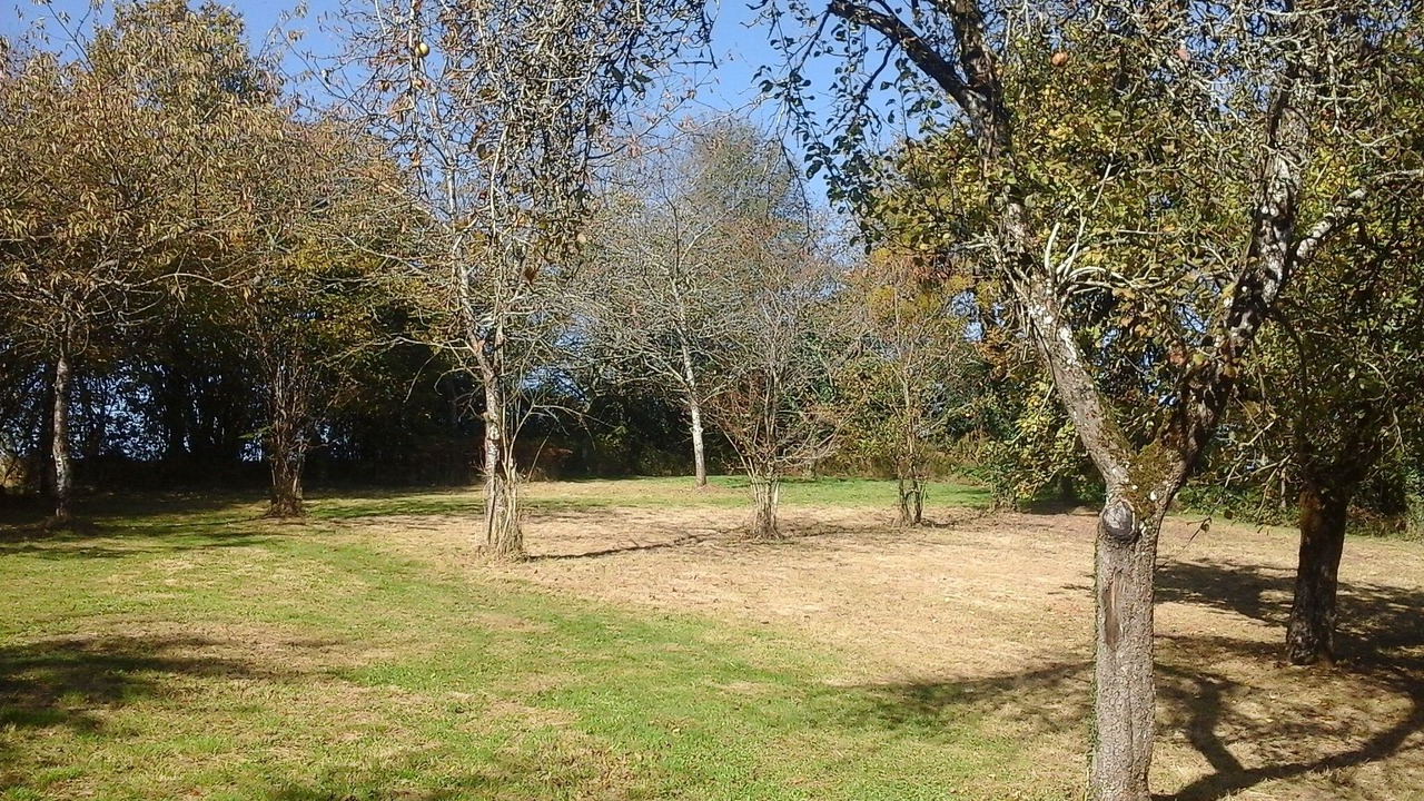 Photo of Others in Augeres