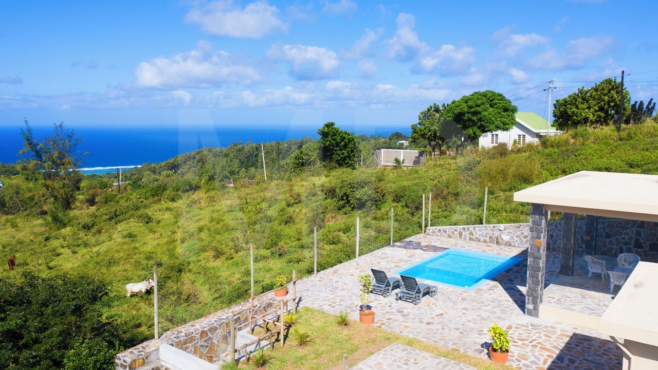 Photo of Outdoor in Coromandel