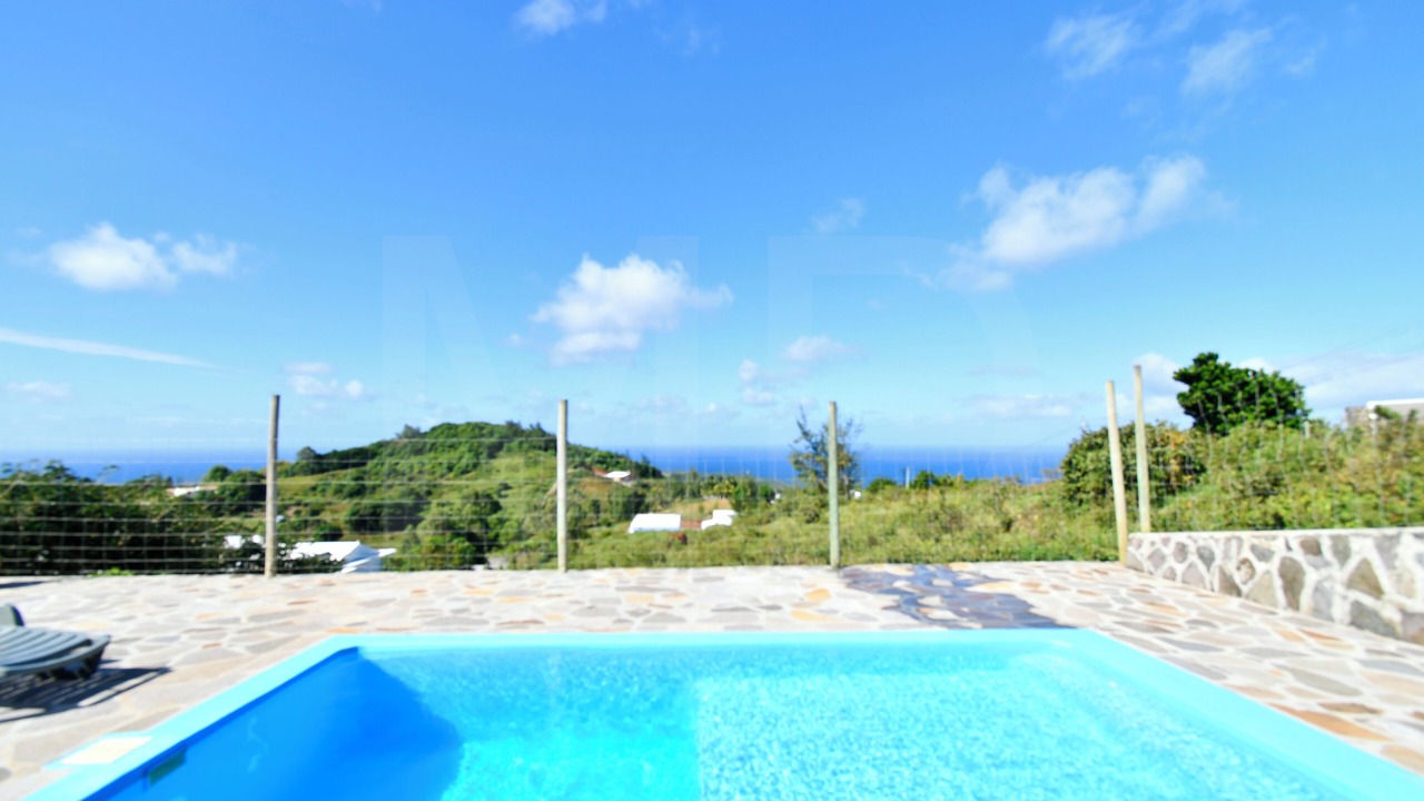 Photo of Outdoor in Coromandel