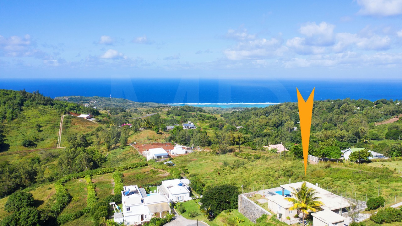 Photo of Outdoor in Coromandel