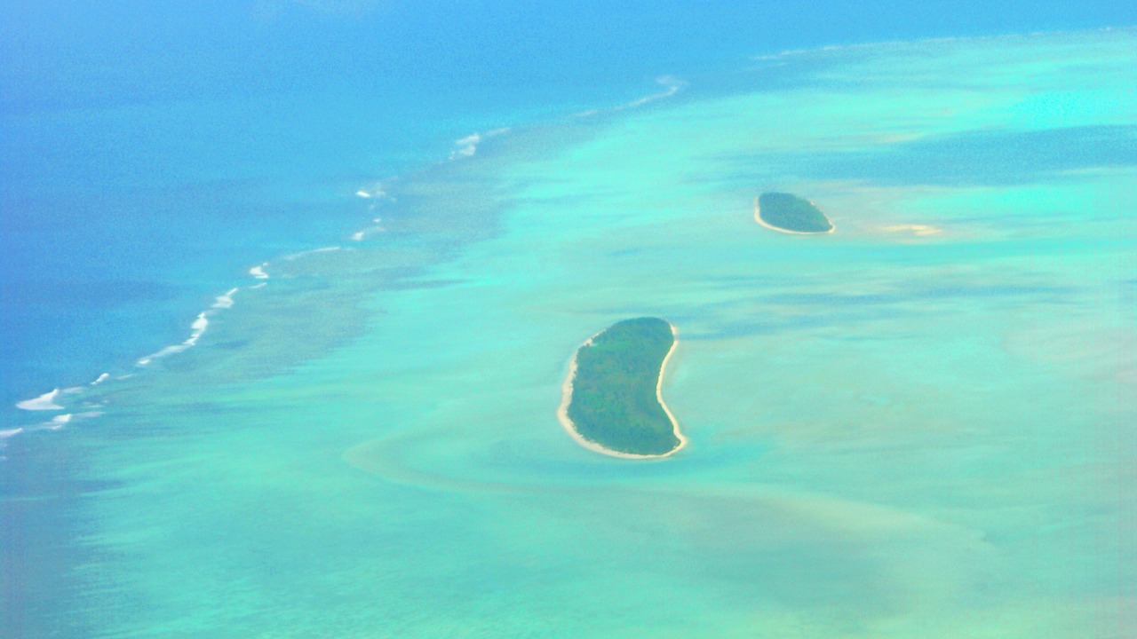 Photo of Others in Coromandel