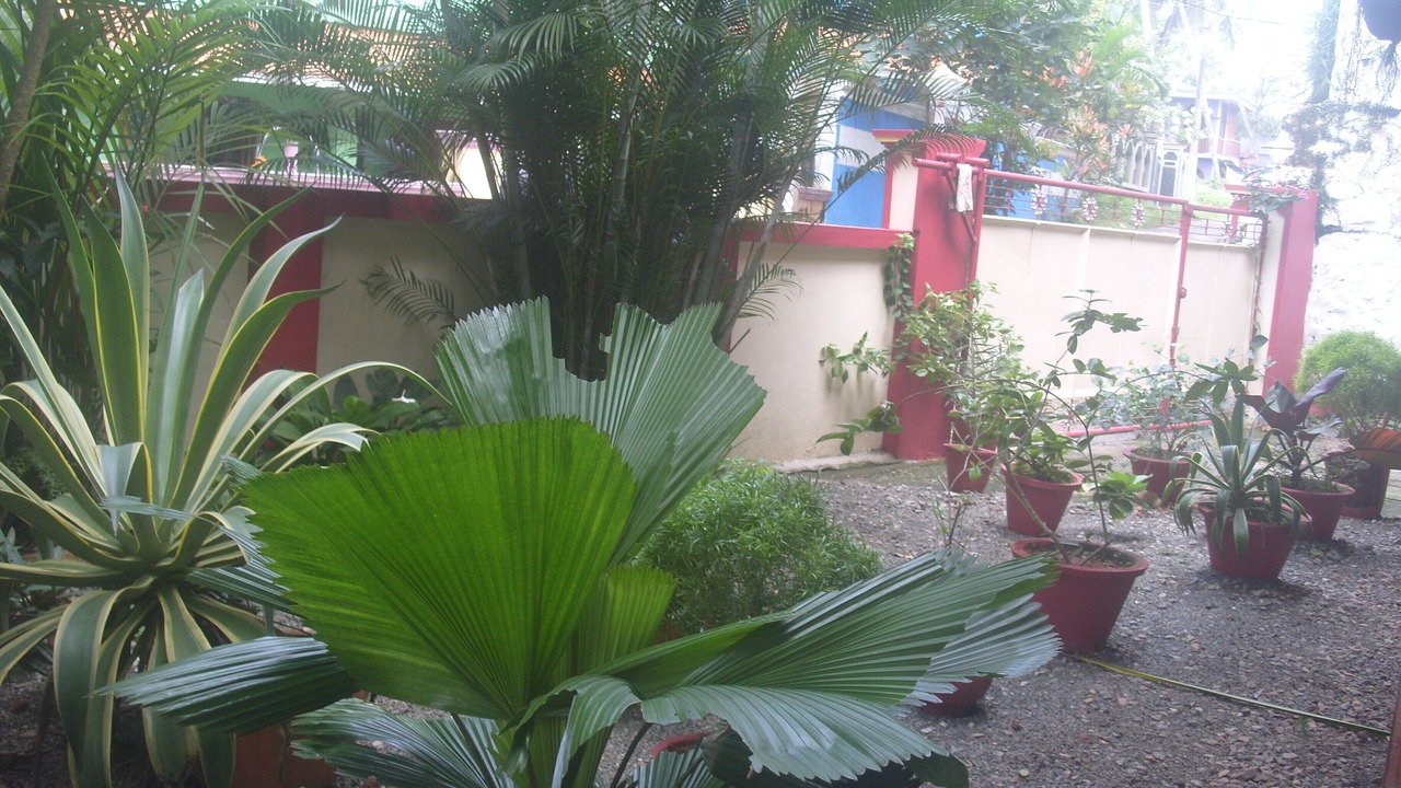 Photo of Outdoor in Kovalam