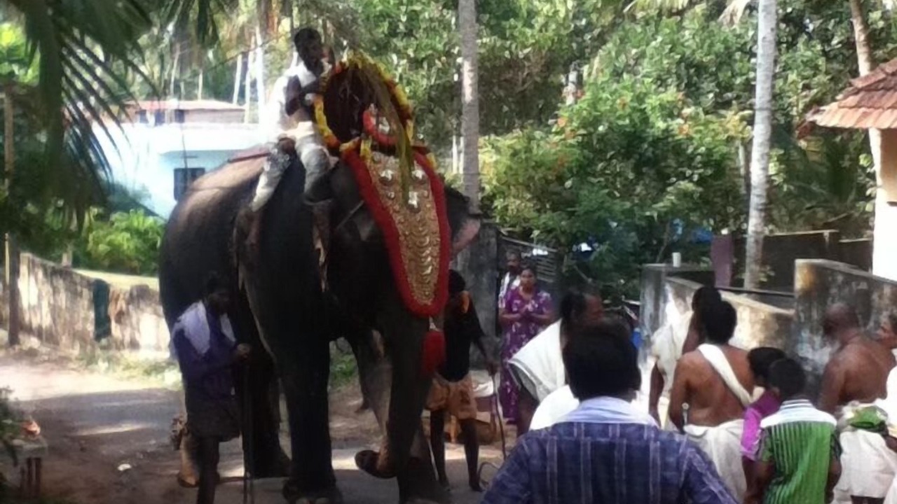 Photo of Others in Kovalam