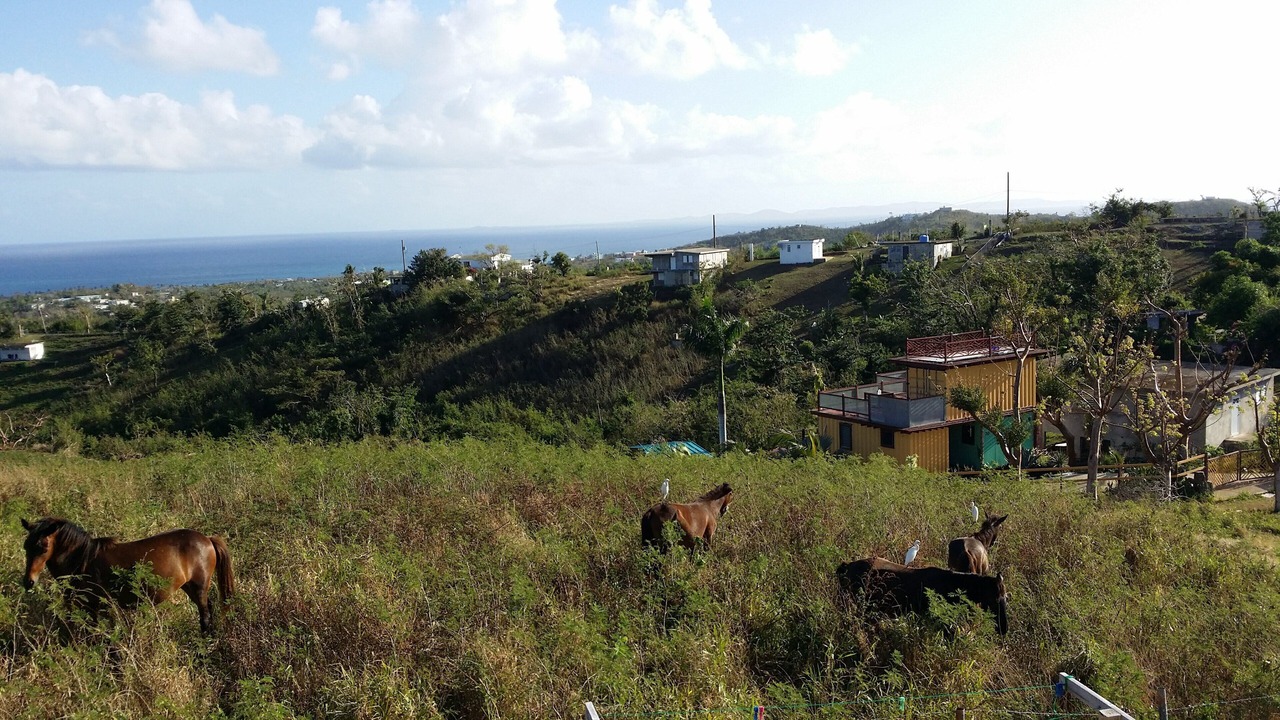 Photo of Others in Villa Borinquen