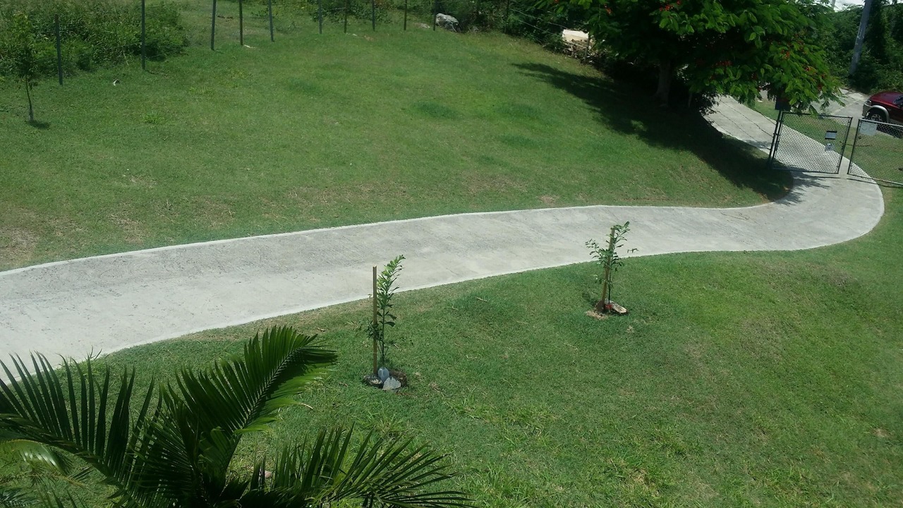 Photo of Others in Villa Borinquen