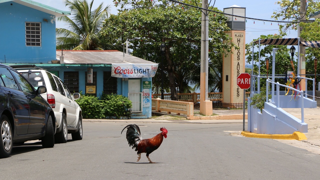 Photo of Others in Villa Borinquen