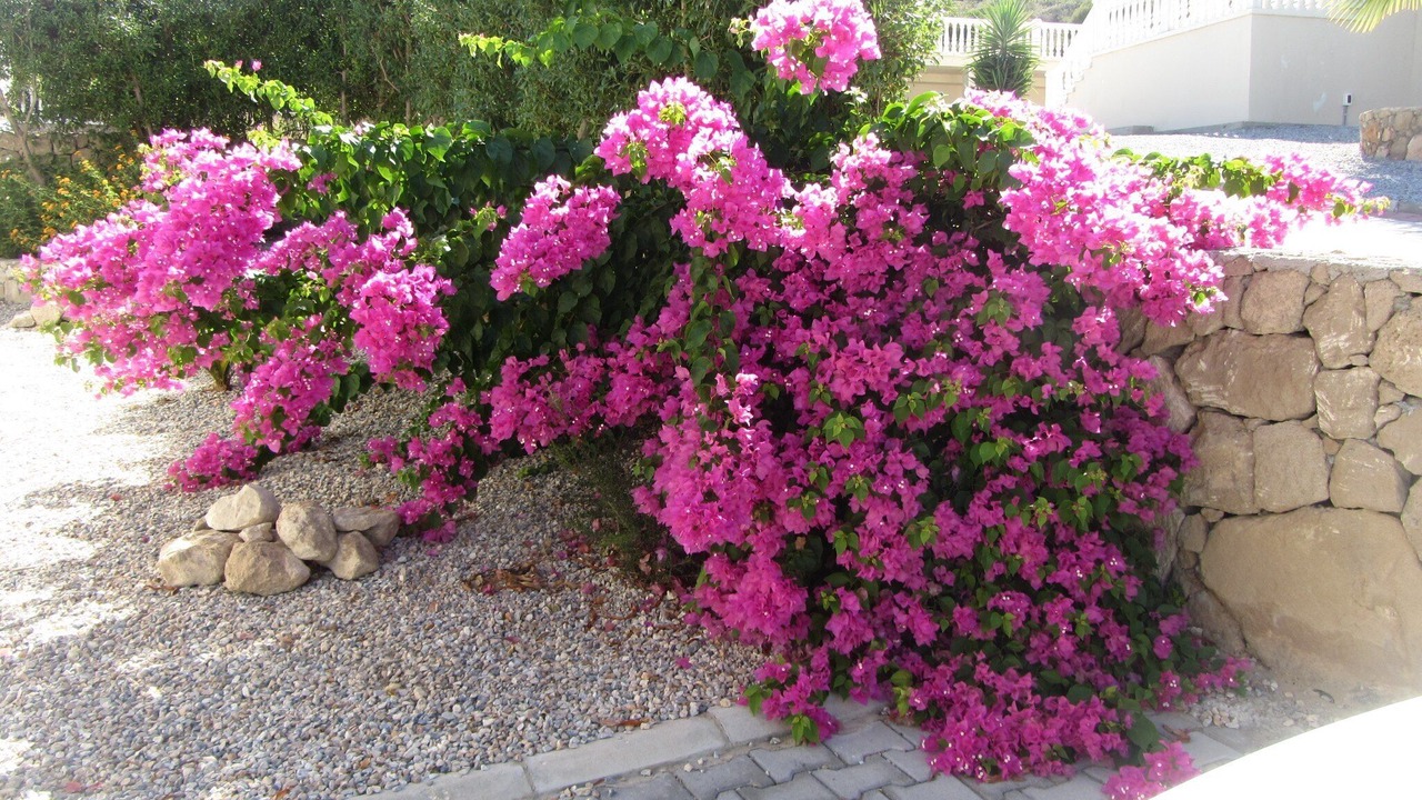 Photo of Outdoor in Bahceli