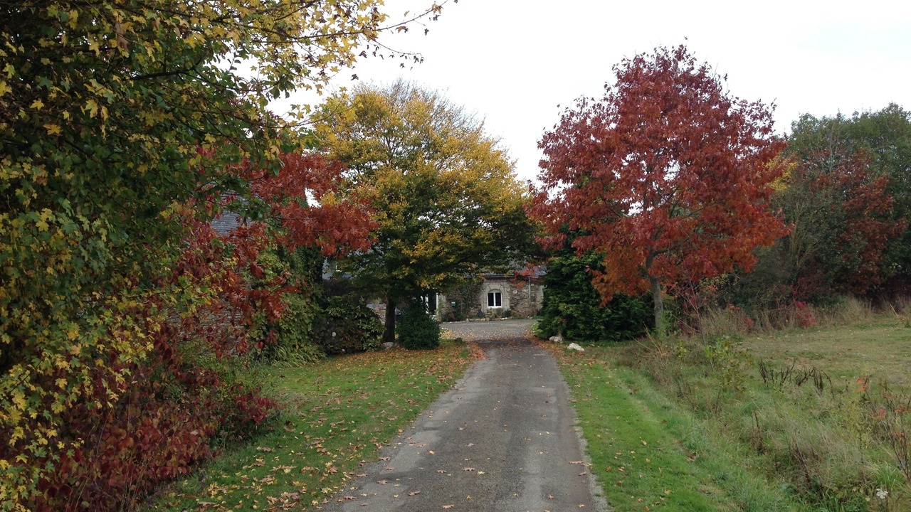 Photo of Outdoor in La Croix-Hellean