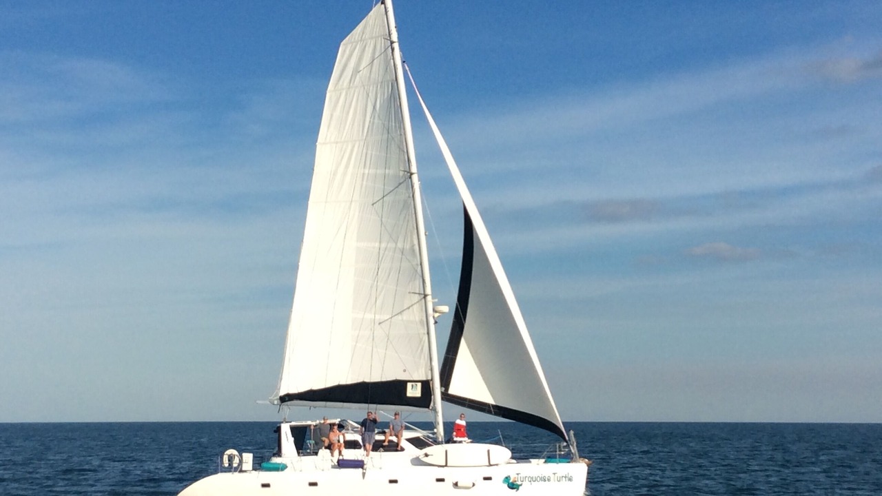Photo of Others in Wickhams Cay 1