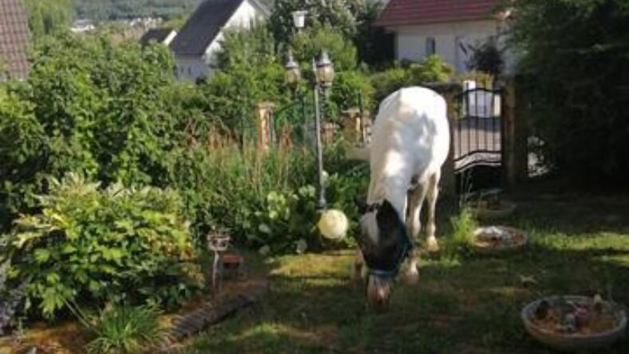Photo of Outdoor in Illfurth