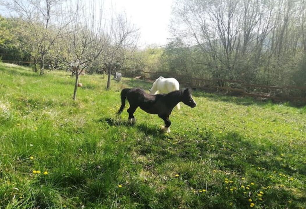 Photo of Outdoor in Illfurth