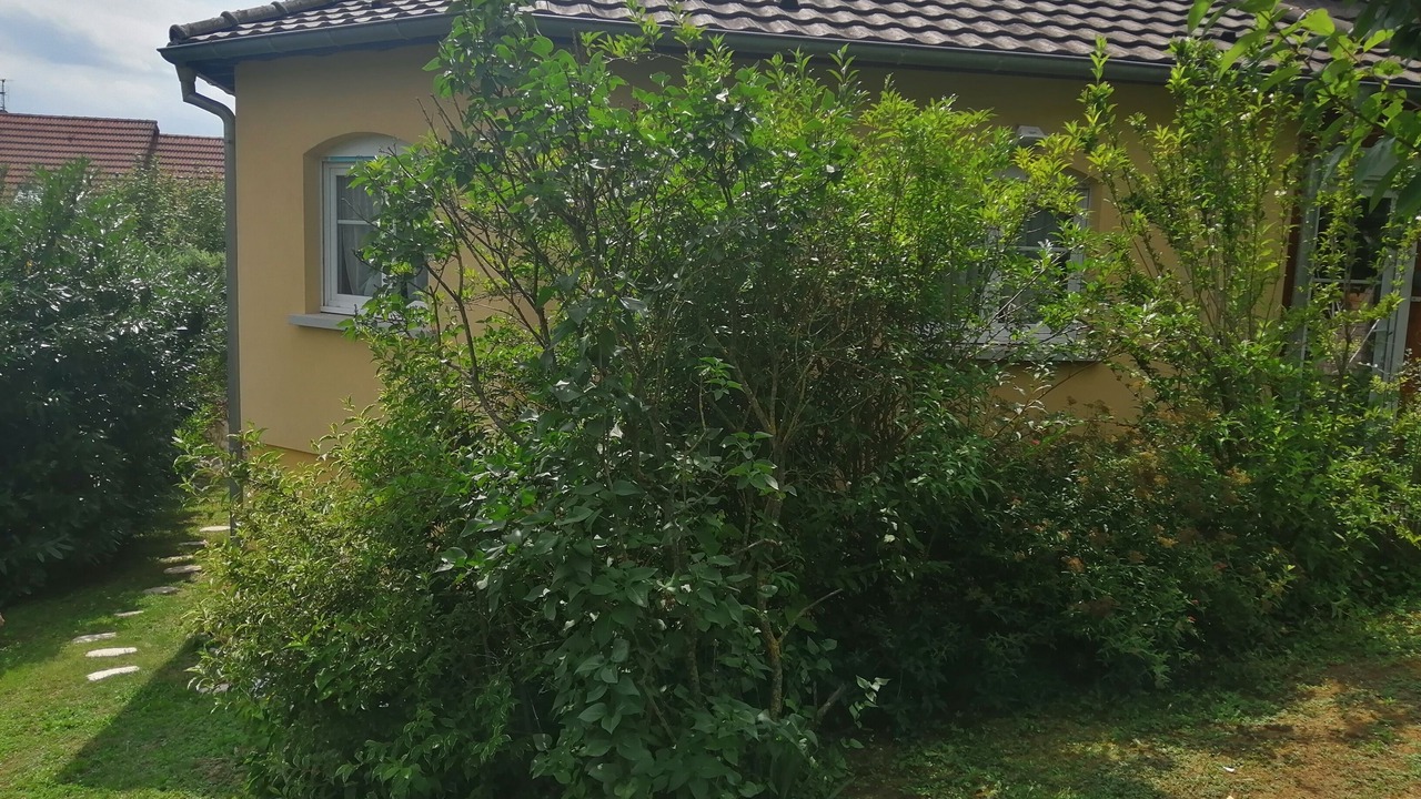 Photo of Outdoor in Illfurth