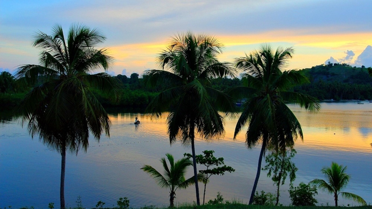 Photo of Others in Les Cayes