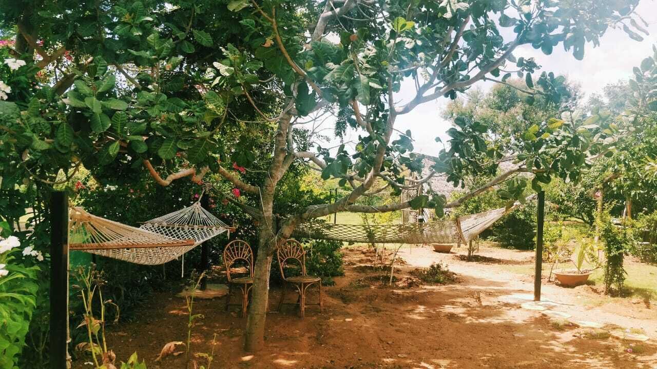 Photo of Outdoor in Hosur