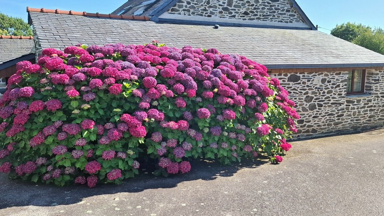 Photo of Outdoor in Pont-de-Buis-les-Quimerch