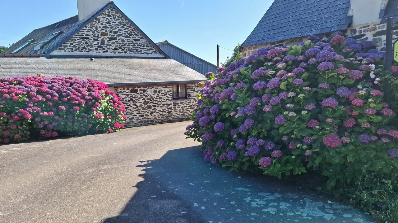 Photo of Outdoor in Pont-de-Buis-les-Quimerch
