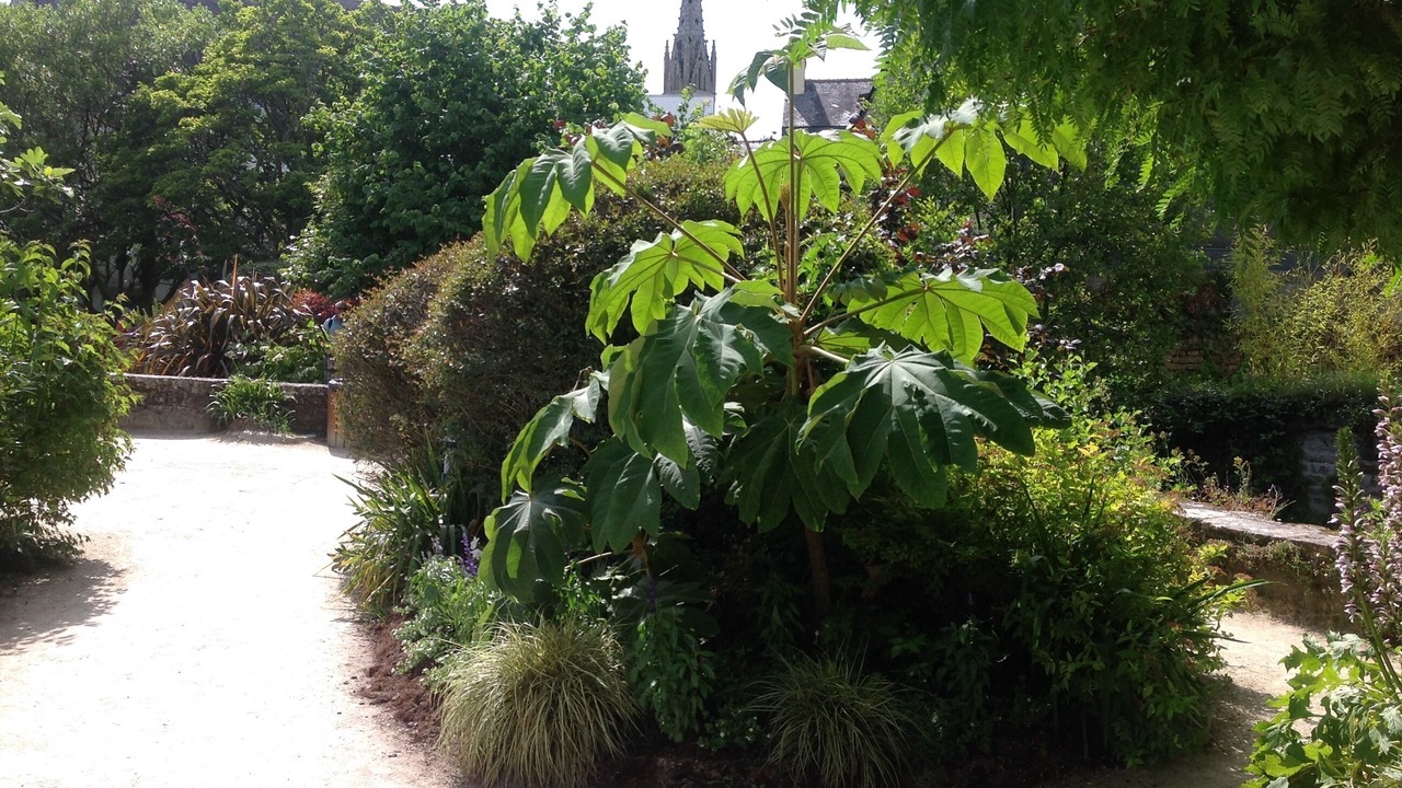 Photo of Outdoor in Pont-Aven