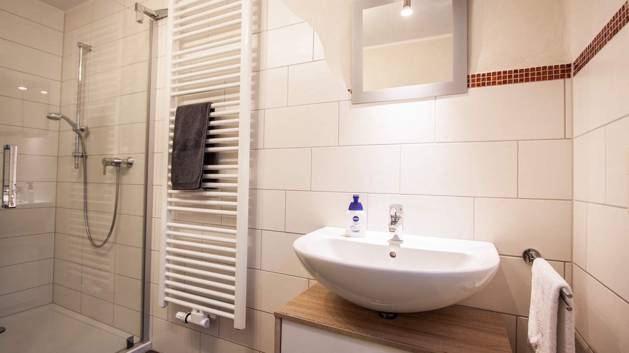 Photo of Bathroom in Lehmen