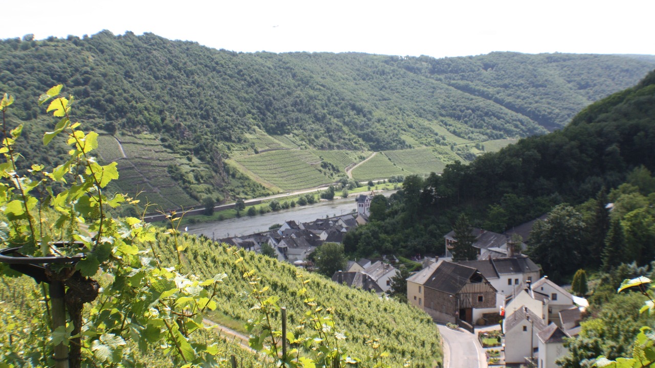 Photo of Outdoor in Lehmen