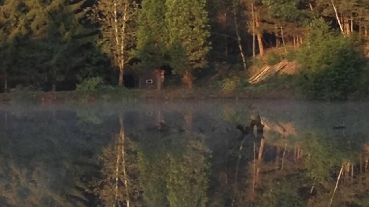 Photo of Outdoor in Saint-Meard