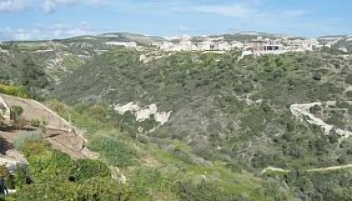 Photo of Others in Aphrodite Hills