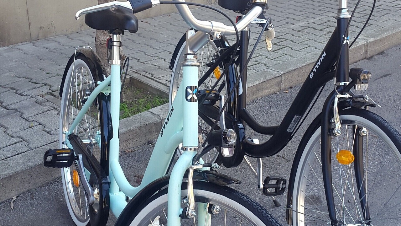 Photo of Others in Viareggio
