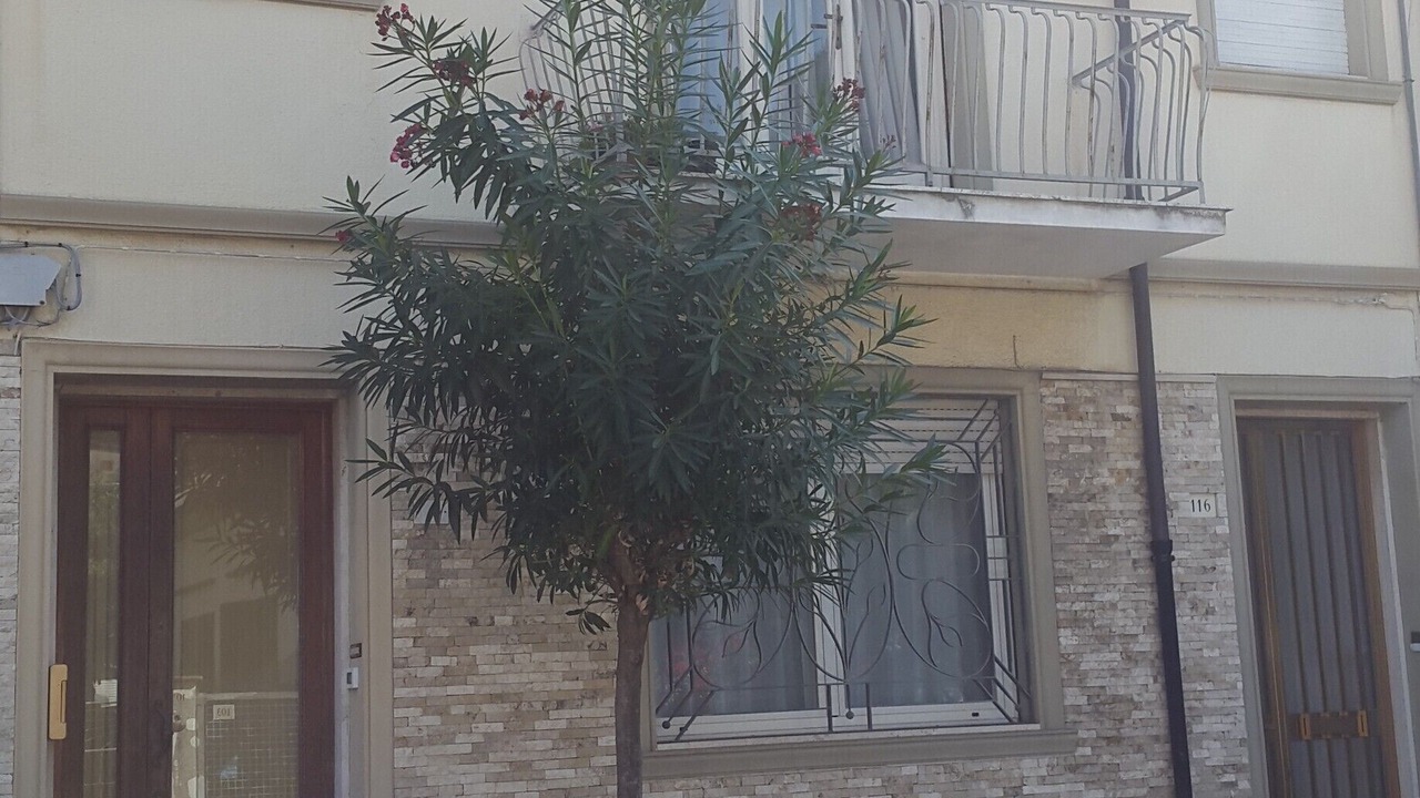 Photo of Outdoor in Viareggio