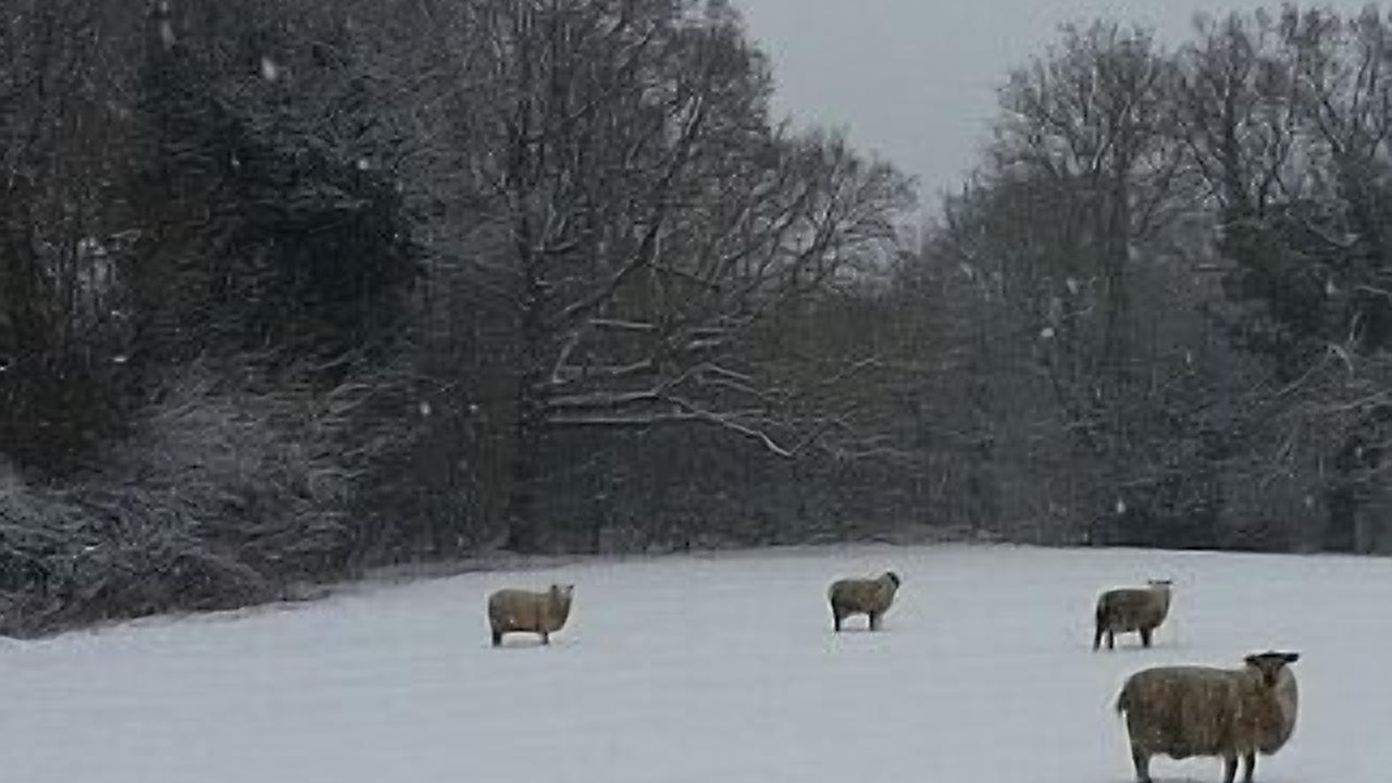 Photo of Others in Cranbrook