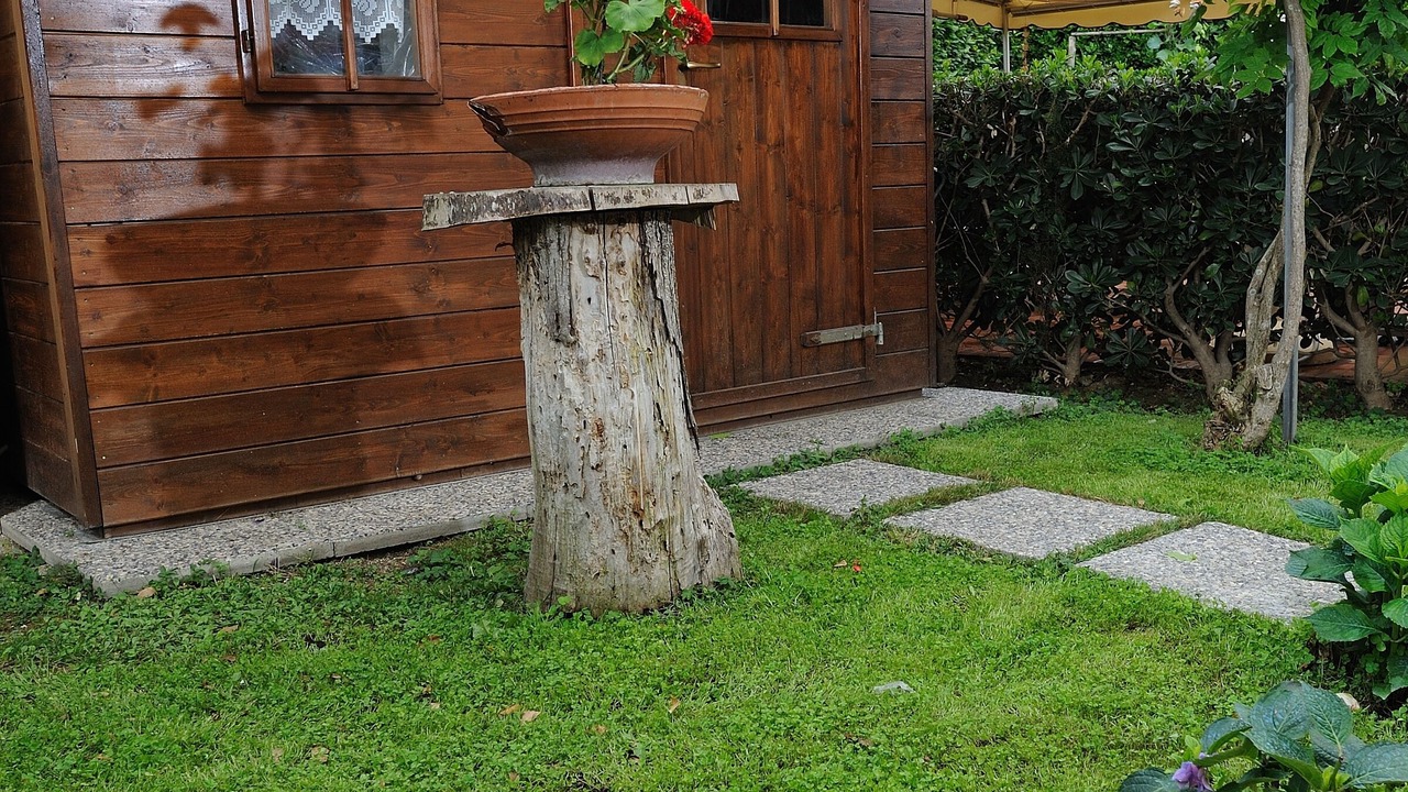 Photo of Outdoor in San Giuliano Terme