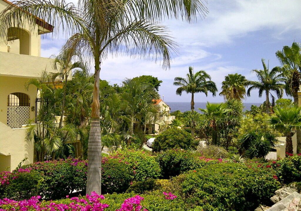 Photo of Outdoor in Piscadera