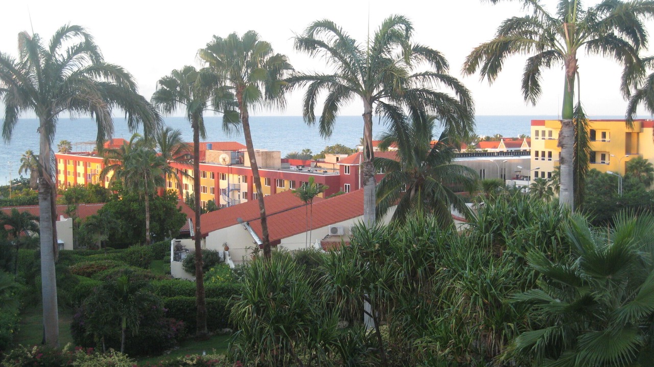 Photo of Outdoor in Piscadera