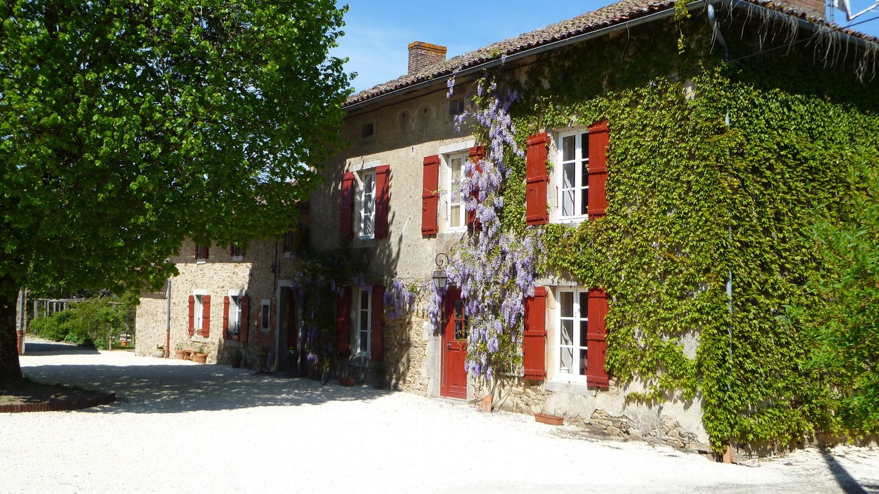 Photo of Outdoor in Cussac