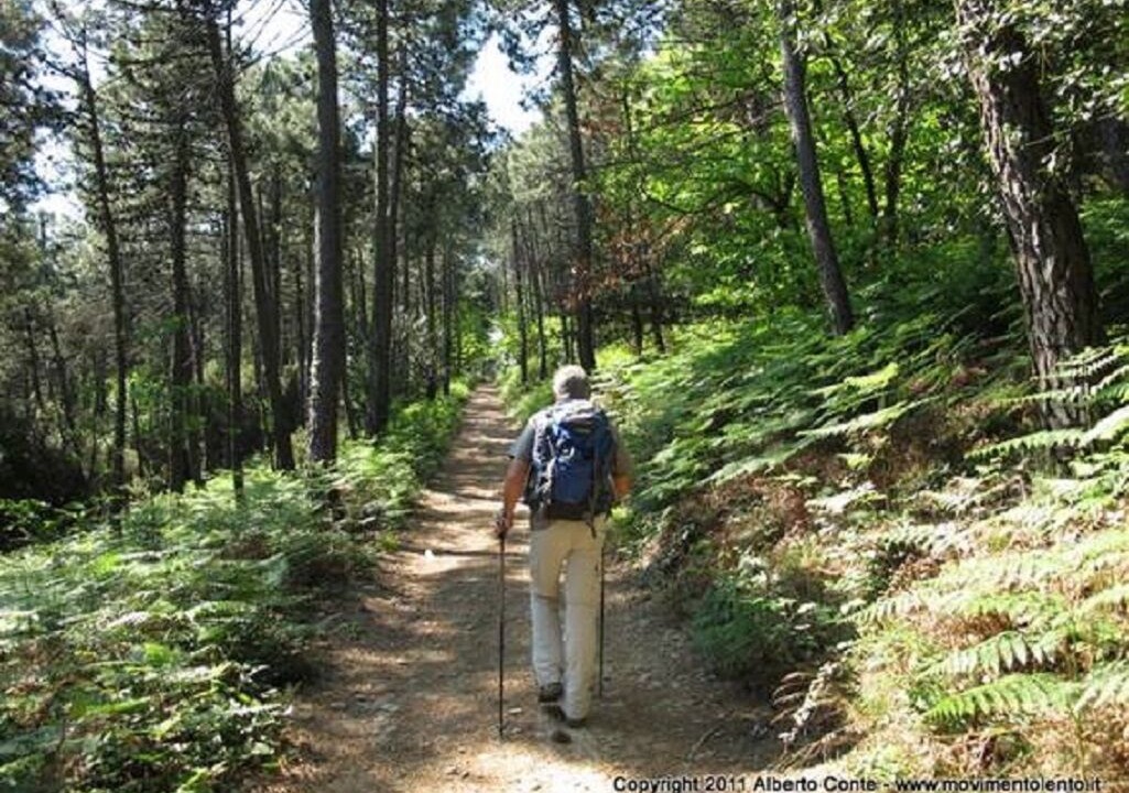 Photo of Outdoor in Calci