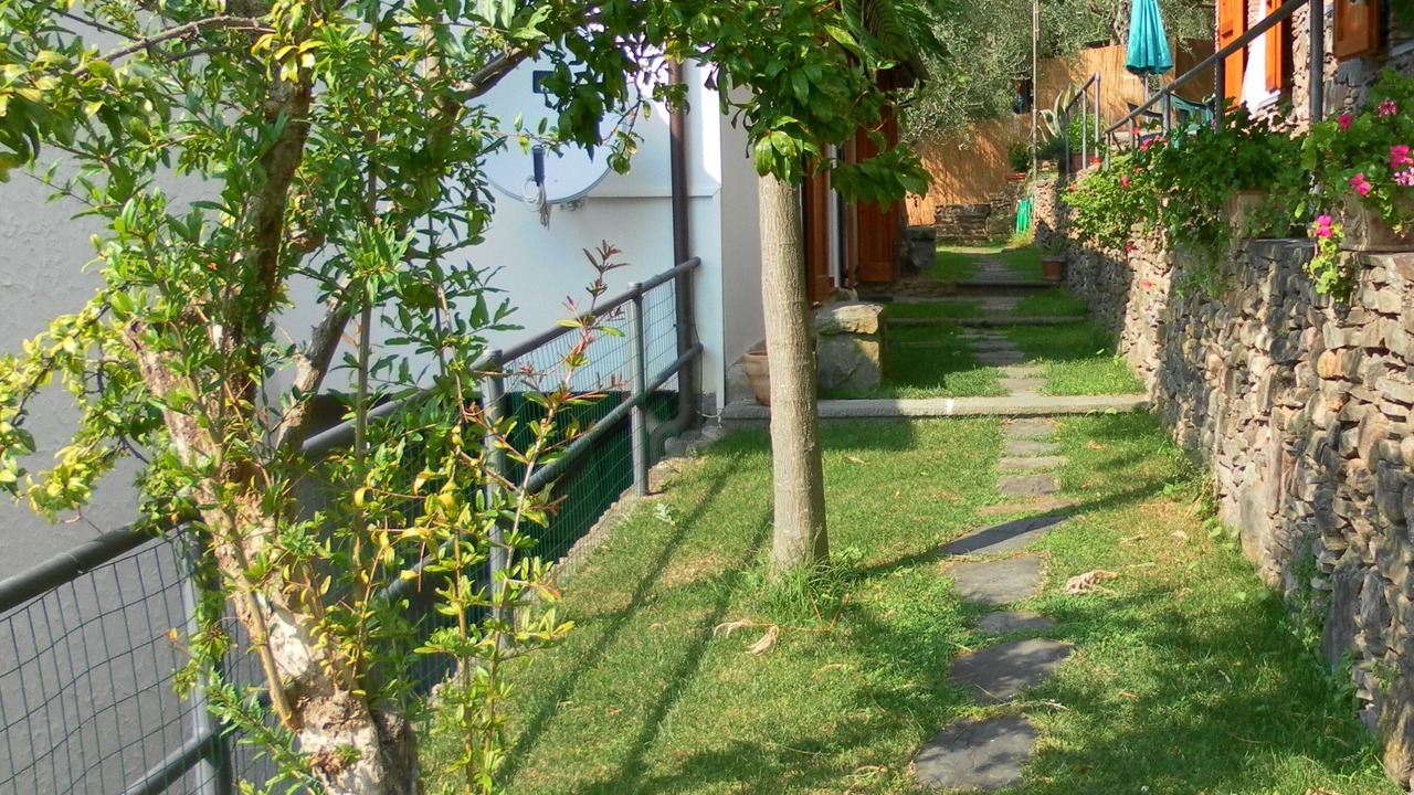 Photo of Outdoor in Calci