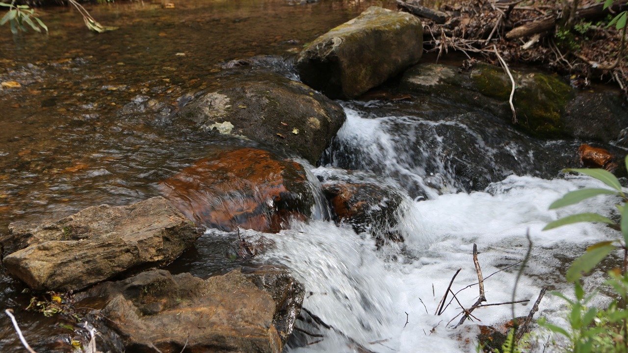 Photo of Others in Hiawassee