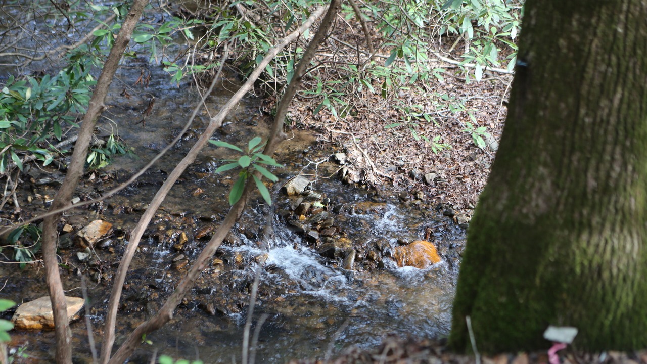 Photo of Outdoor in Hiawassee