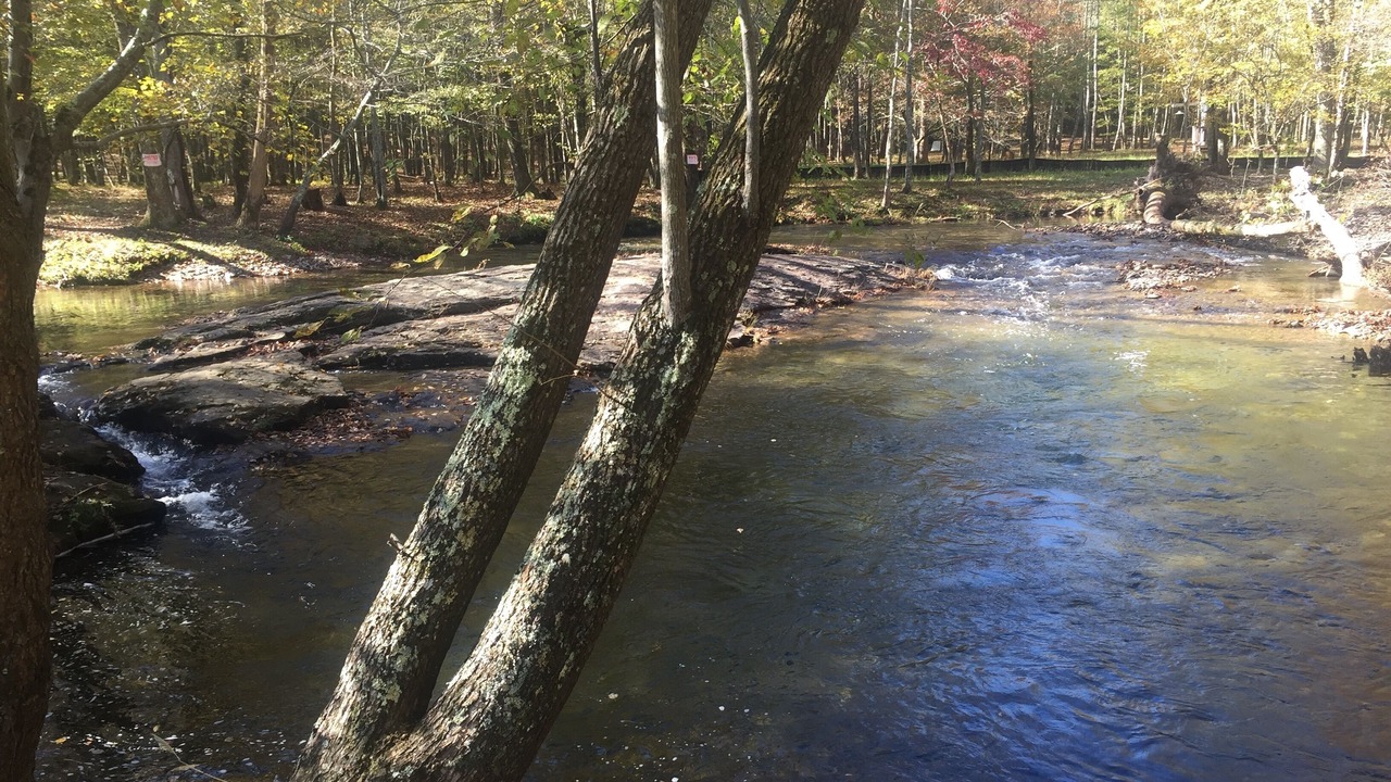 Photo of Outdoor in Blairsville