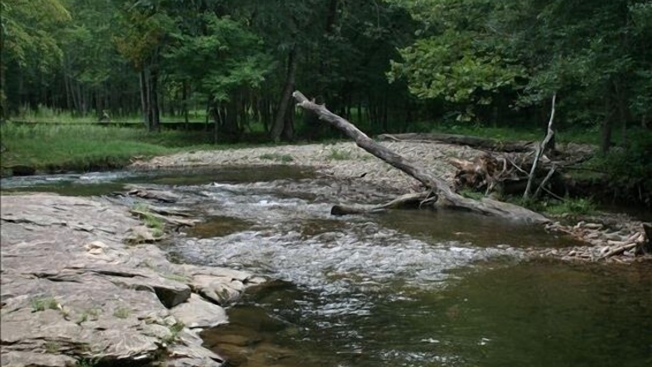 Photo of Others in Blairsville