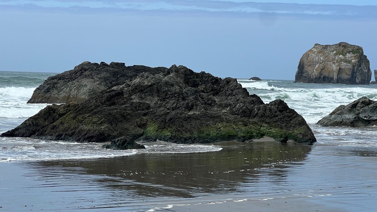 Photo of Others in Bandon