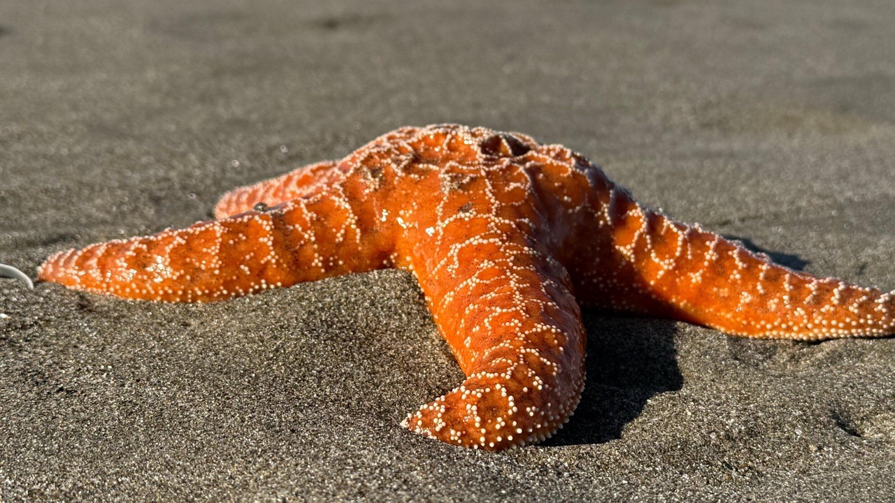 Photo of Others in Bandon