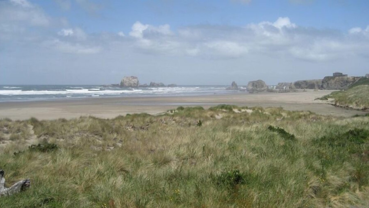 Photo of Others in Bandon