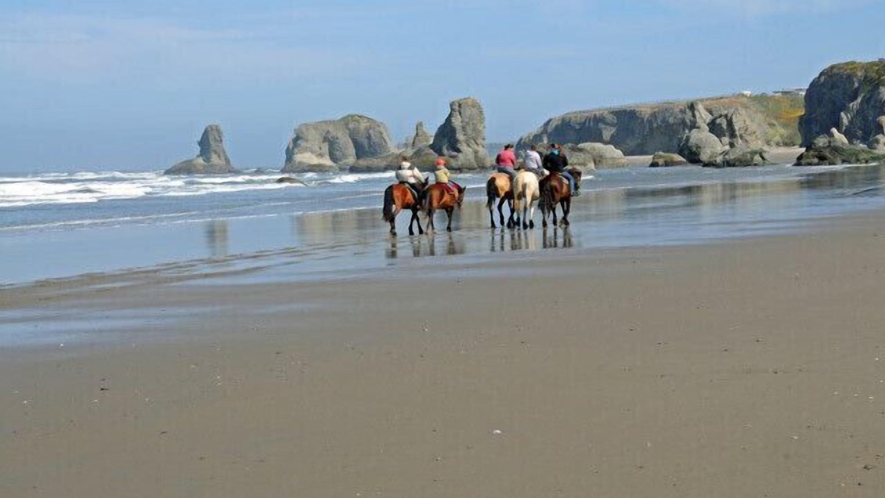 Photo of Others in Bandon