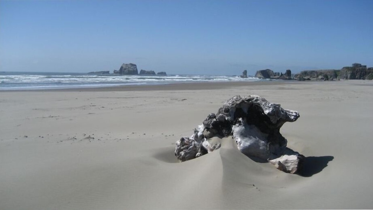 Photo of Others in Bandon