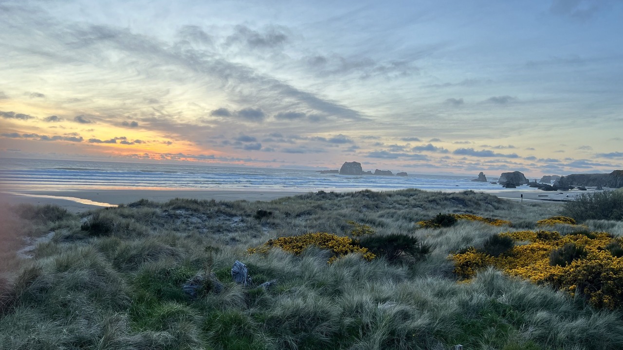Photo of Others in Bandon