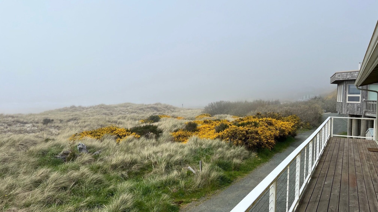 Photo of Others in Bandon