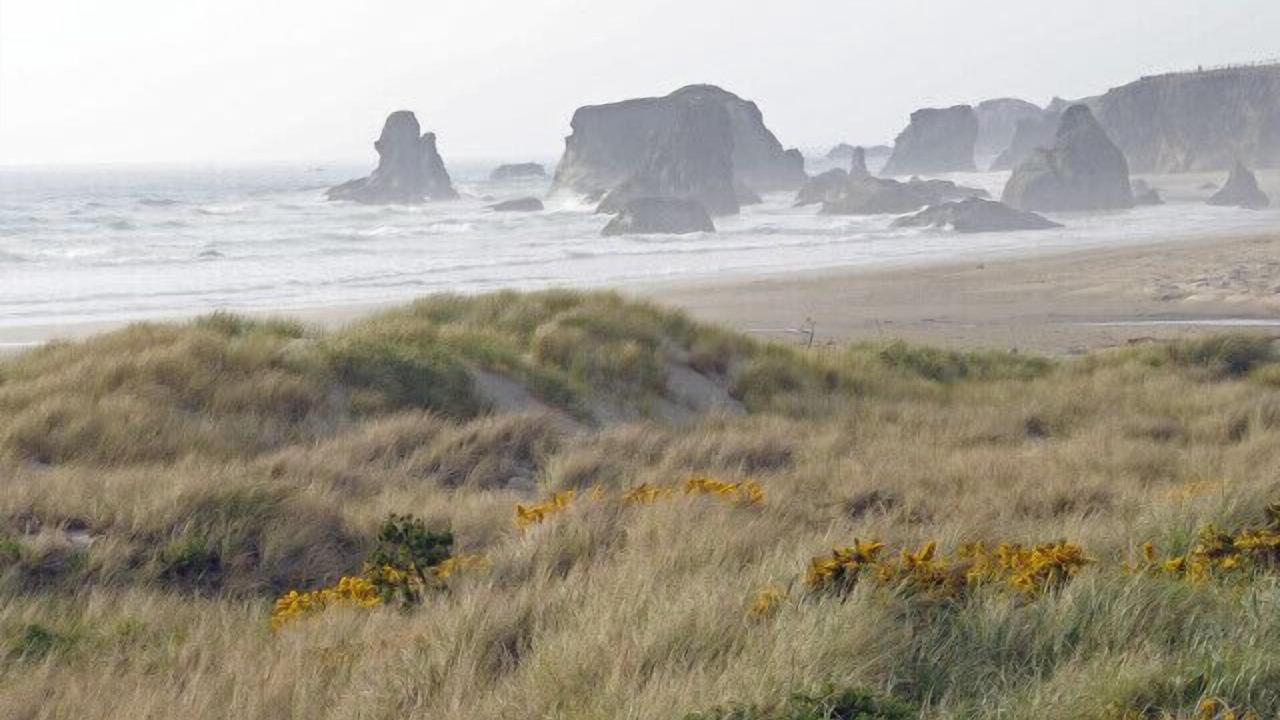 Photo of Others in Bandon