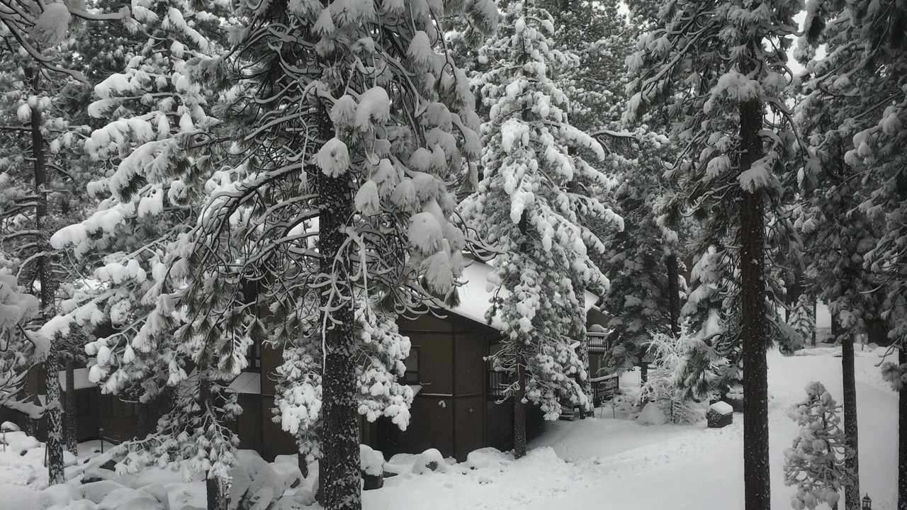 Photo of Others in Zephyr Cove