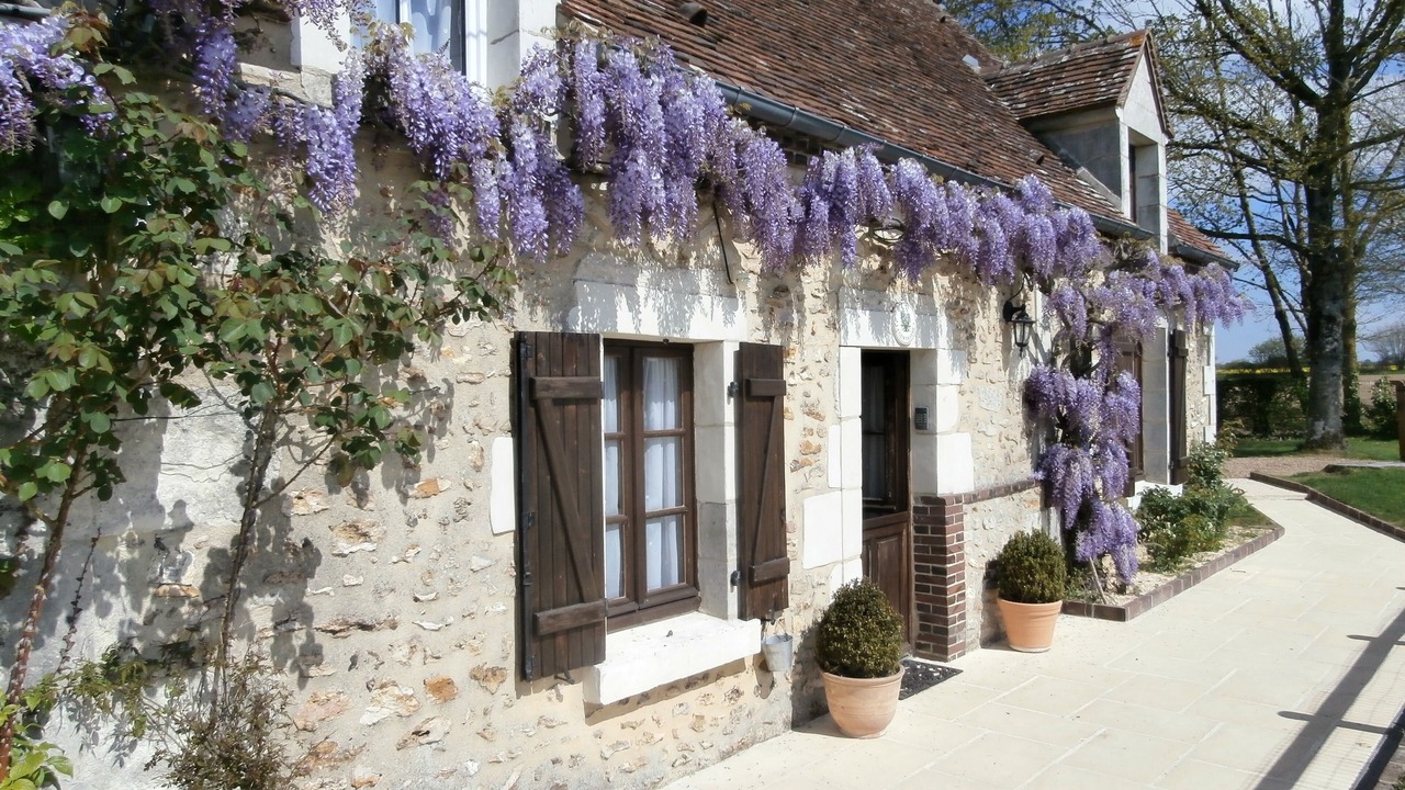 Photo of Outdoor in Brunelles